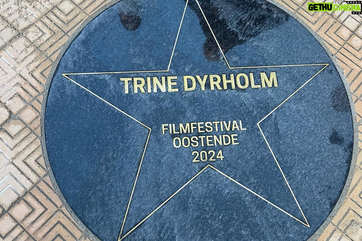 Trine Dyrholm - 1.3K Likes - Thank you @filmfestivaloostende for the wonderful premiere of #birthdaygirl and for the magical ceremony ⨠and thank you so much @broodsnatali for your beautiful speech ā¤ļø