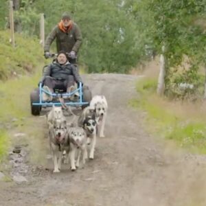Truls Svendsen Instagram - 😳👍 Ny episode av Truls à la Hellstrøm i kveld kl 20:00 på @tv2norge eller når du vil på @tv2play. @planbunderholdning @hellstroms_verden