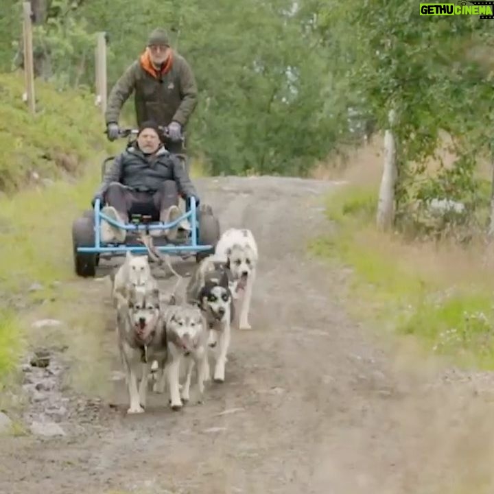 Truls Svendsen - 6.7K Likes - 😳👍 Ny episode av Truls à la Hellstrøm i kveld kl 20:00 på @tv2norge eller når du vil på @tv2play. @planbunderholdning @hellstroms_verden