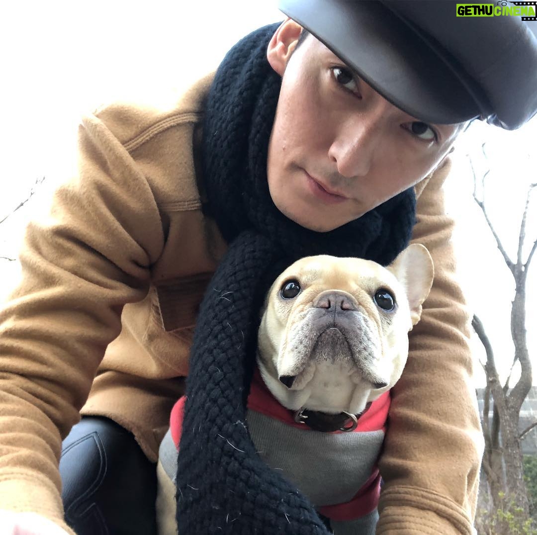 Tsuyoshi Kusanagi - 89.6K Likes - インスタ、フォロワー。20万人突破!
皆さんありがとうワン!
#かんそうちゅうい
