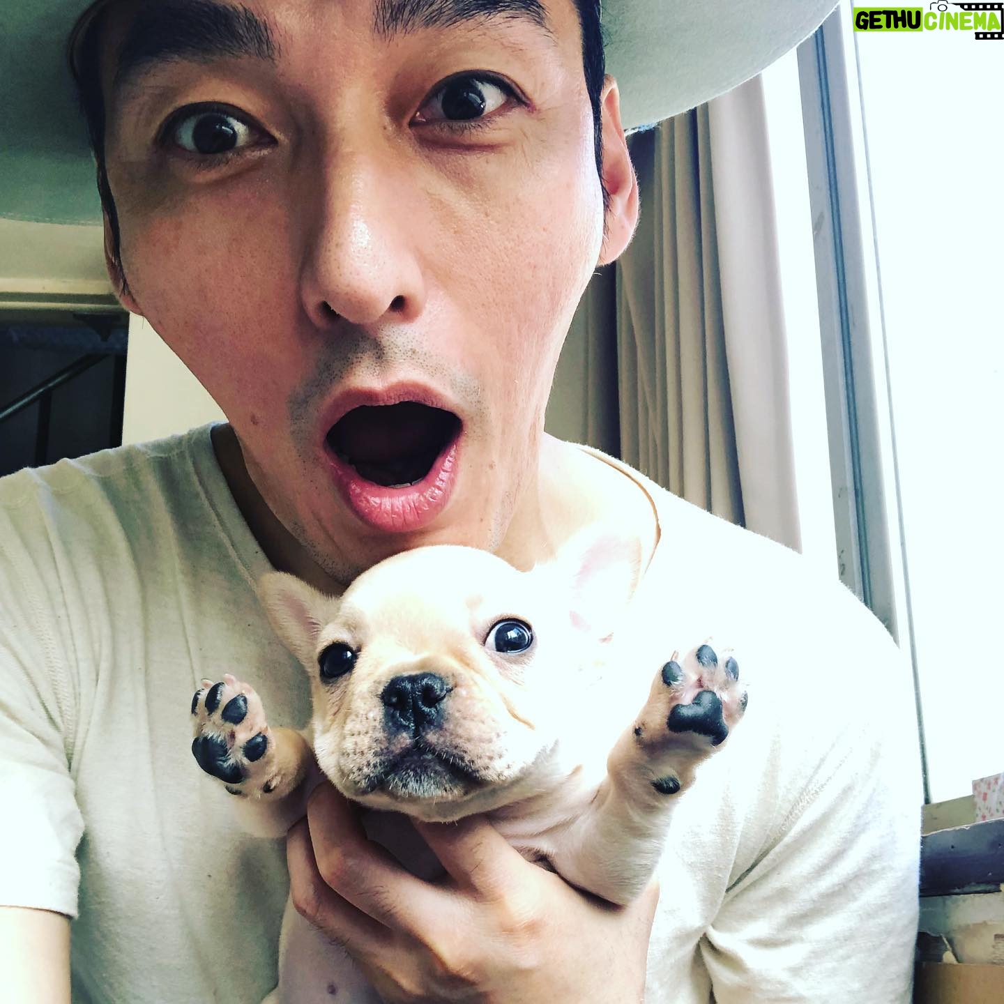 Tsuyoshi Kusanagi - 108.3K Likes - ぶっ、バー!
暑さ、やばいです!
フレブル赤ちゃん、やばいです!
#台風家族9月6日公開
#草彅剛ギターはっひょう会