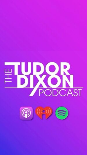 Tudor Dixon Instagram - Stop asking for more government.