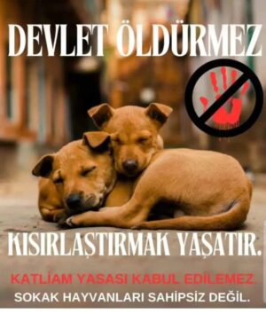 Tuna Arman Instagram - Canlarına dokunanın soyu kurusun en ağır şekilde Allah versin cezalarını.....Allahin emanetlerini koruyamiyorsak en büyük cezayi versin Allah 
#sokakhayvanlarısahipsizdeğil