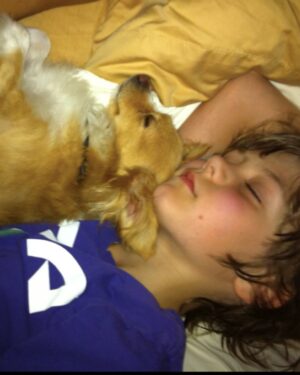 Ty Simpkins Instagram - 17 years. Into the great unknown. He was a fighter. Love you rufus.