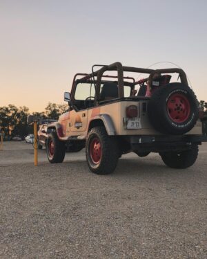 Tyler Hoover Instagram - I have been going to the local drive in literally my entire life, and for the first time, I DID NOT fit in with the Cybertruck. People reacted more like an alien had landed. Here’s about 15 years worth of photos…