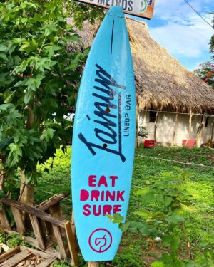 Tyler Lawrence Gray Instagram - “All I need are some tasty waves, a cool buzz, and I’m fine”
