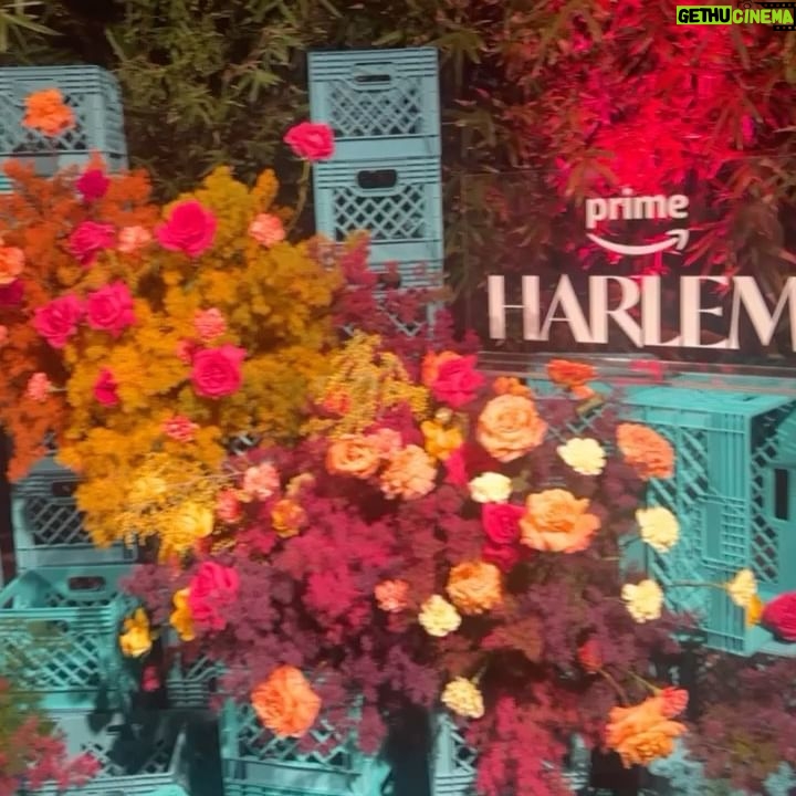Tyler Lepley - 84.6K Likes - HARLEM premieres tonight!
@harlemonprime @primevideo
Stylist: @benjaminholtrop @grayscaleic
PR: @initiativepr
Barber: @master_barber_a_rod