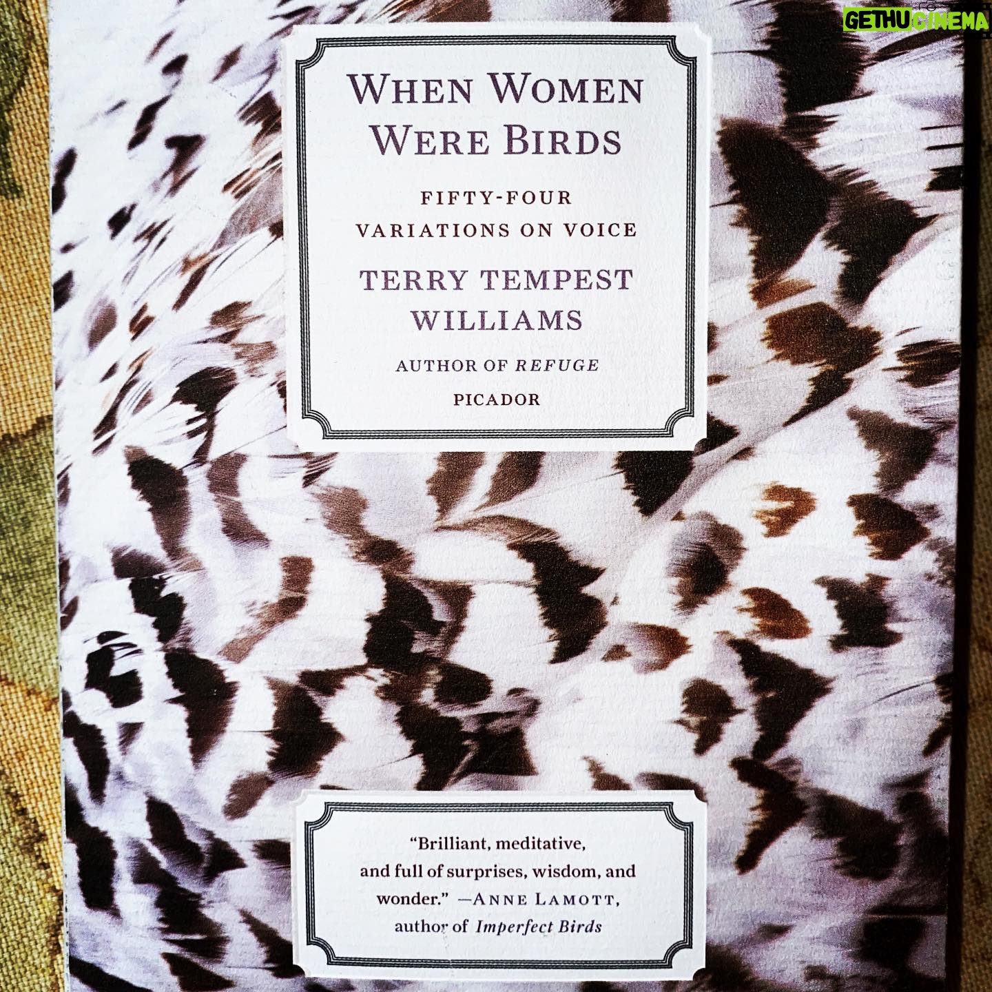 Tyne Daly - 201 Likes - A fascinating, poetic mother-book. #ReadingBinge