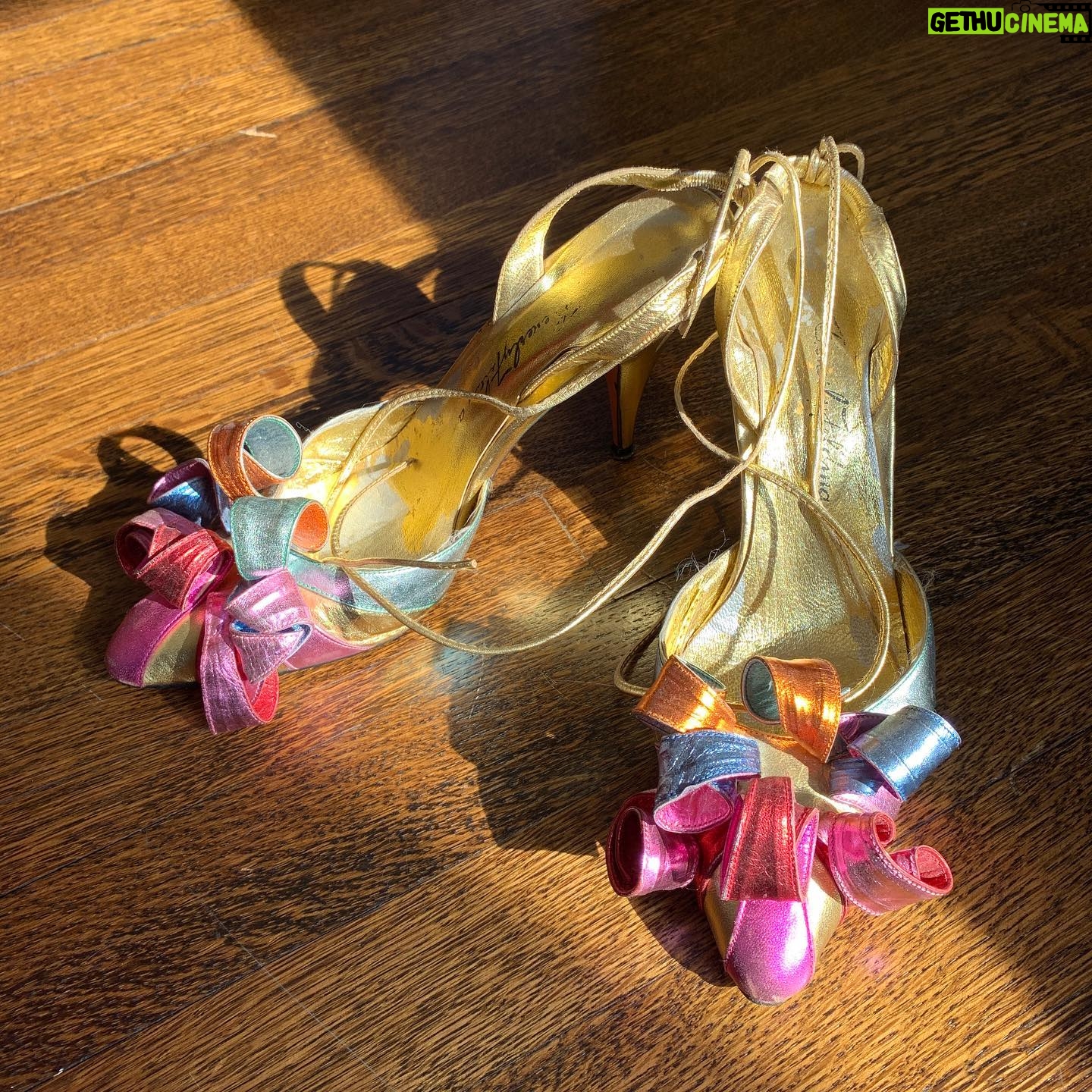 Tyne Daly - 758 Likes - @sharonglessreal sent me these for my birthday in 1989. I was on your with Gypsy and jumped into the swimming pool with them on, on a date from one of the kids in the chorus. Still makes me laugh!