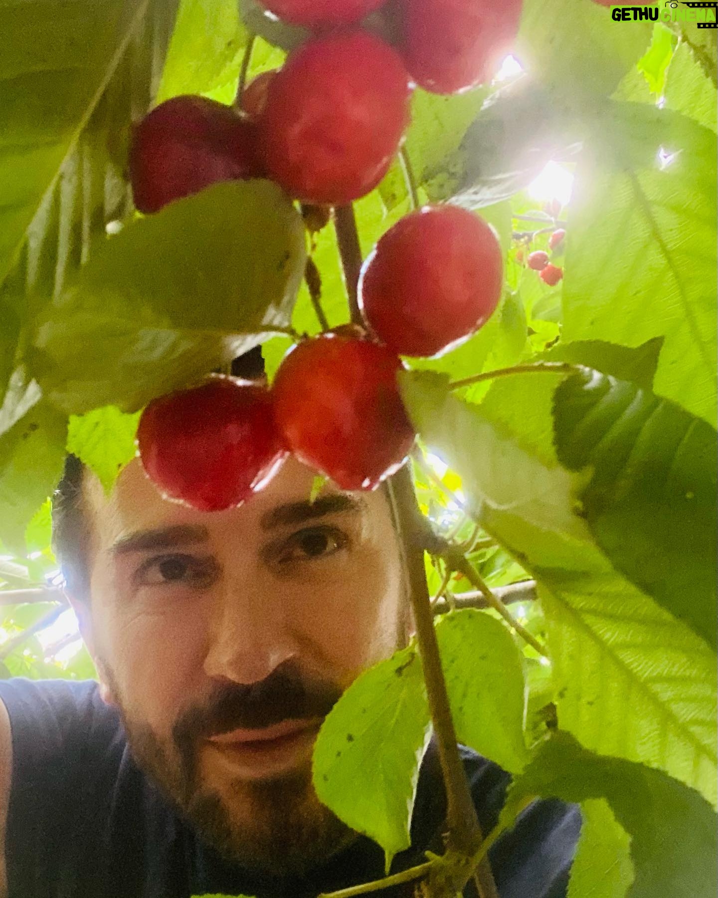 Uğur Arslan - 7.3K Likes - Asmalar,güller,erik ağaçları,limon çiçekleri,kirazlar, yaz geldi artık diyor. Bir kış çocuğu ne kadar sevinirse yazın geldiğine, o kadar işte… :)