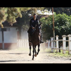 Uğur Güneş Instagram - Bu da şurda dursun.🤓🕺🏻🐴