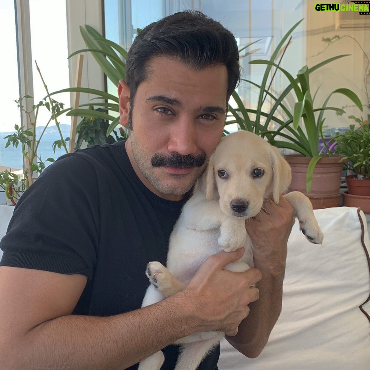 Uğur Güneş - 80.4K Likes - ☺️☺️☺️