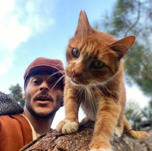 Uğur Yıldıran Instagram - The cat