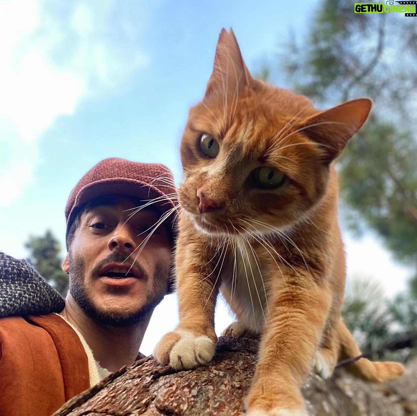 Uğur Yıldıran - 213.7K Likes - The cat