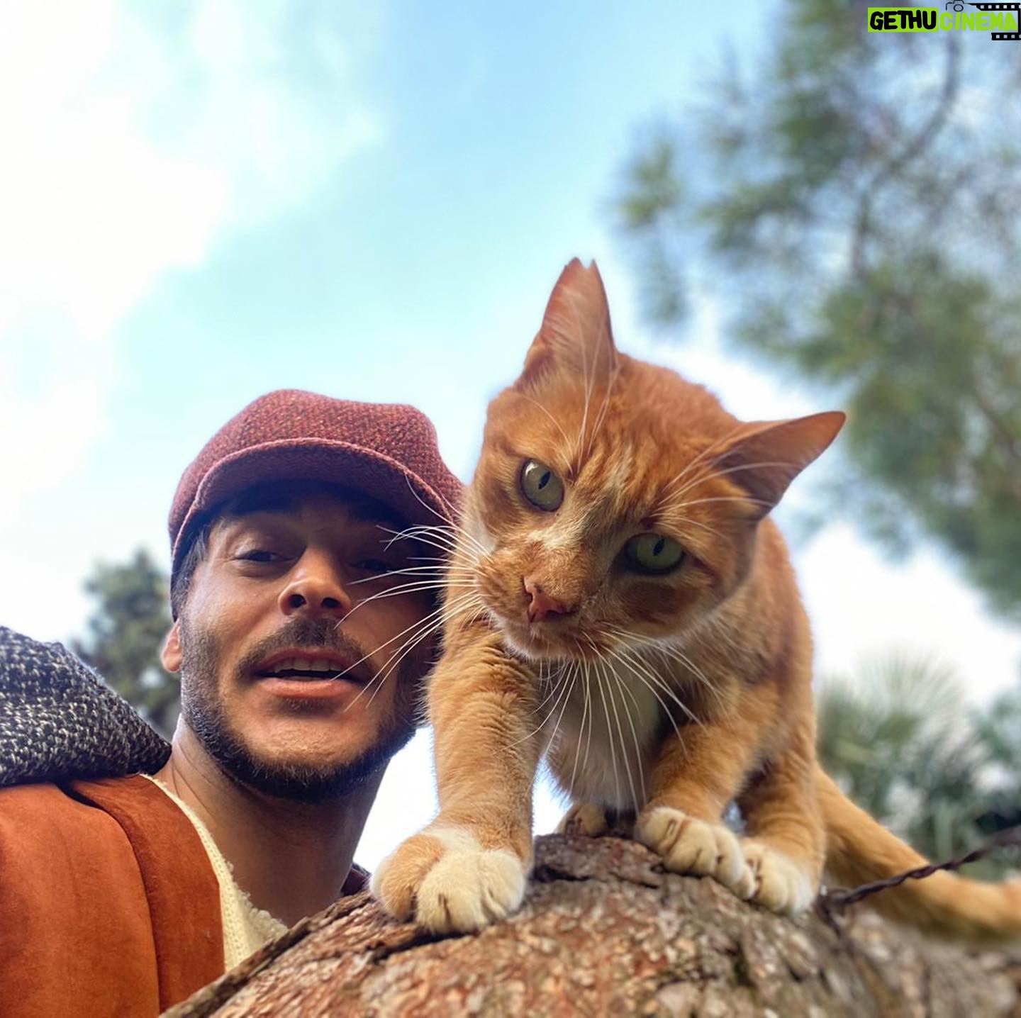 Uğur Yıldıran - 213.7K Likes - The cat