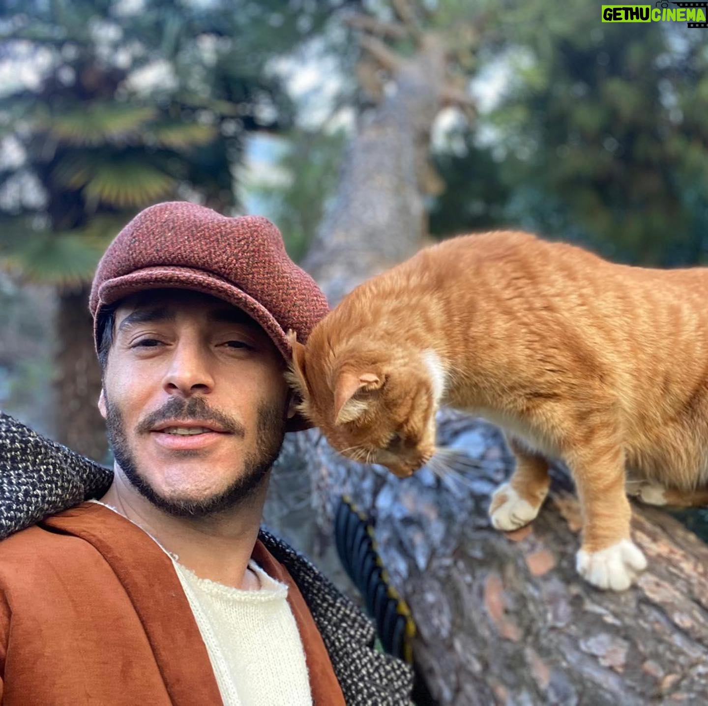 Uğur Yıldıran - 213.7K Likes - The cat