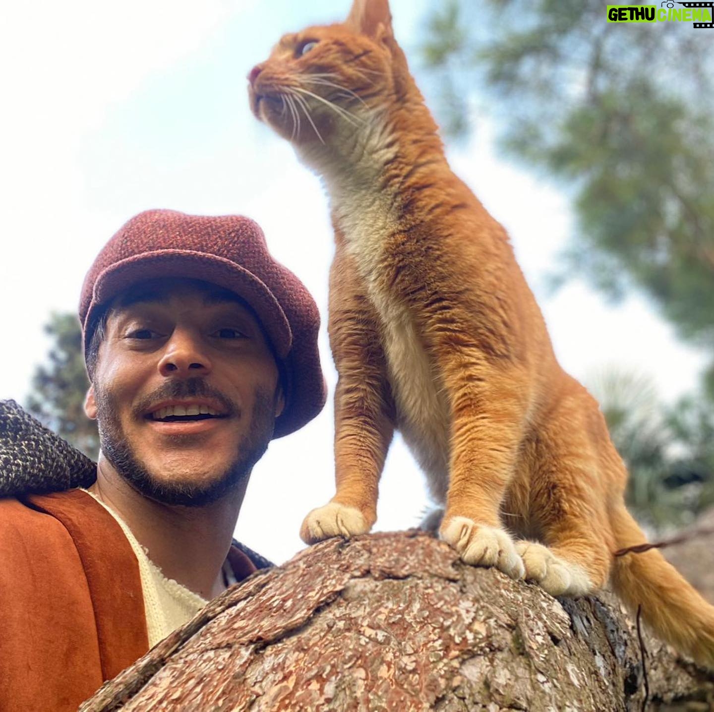 Uğur Yıldıran - 213.7K Likes - The cat