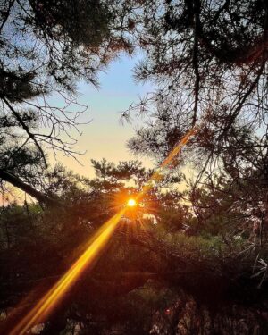 Um Mun-suk Instagram - Happy New Year!☀️☀️#2023#계묘년#가족#행복#기도