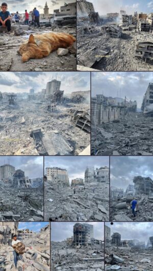 Umar Nurmagomedov Instagram - 🇵🇸💔