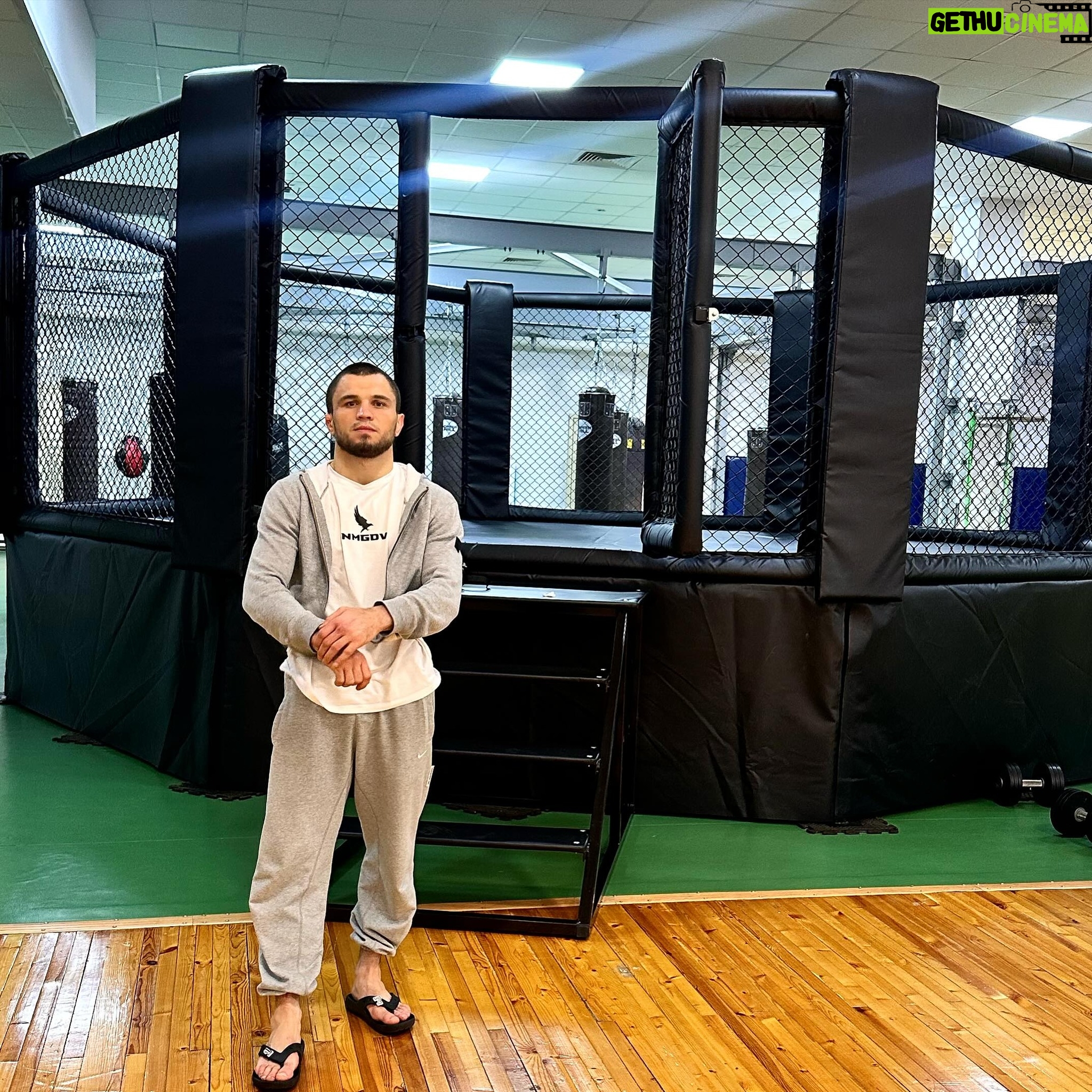 Umar Nurmagomedov - 3 Likes - In da House