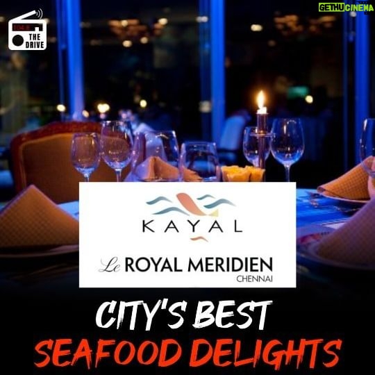 Upasana Rai - 43 Likes - Don't just see the sea! taste the sea!
The city's ONLY 5 star sea food restaurant.
Visit Kayal at Le Royal Meridian for a journey through the shores of the ocean for the very best sea food delights. Crayfish , prawns, salmon, shrimps and lobsters you can handpick live & customise your meal.
Dive deep into soulful seafood. Bite in.. Walk in.. to a sea full of flavours.
Kayal at Le Royal Meridian, Chennai
For reservations contact : 9840805540
#chennai #seafoodlover #chennaifoodguide #chennairestaurant #chennaifoodie #chennaifoodspots #chennaifoodcommunity #seafoodplatter #seafoodrestaurant #5starhotel #newrestaurant #foodporn #foodreels #talkshow #podcasting #englishpodcast #seafoodheaven #fishlover #crabcakes #lobster #foodshow #chennailive