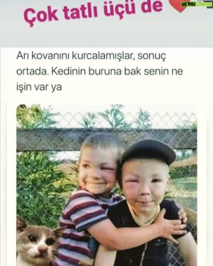 VJ Bülent Instagram - bayildim  tiplere🤪🤪KEDInin burnunu cocuklarin gozlerini hic unitmiycam🤣🤣🤣🤣TOVBE ya😂😂😂