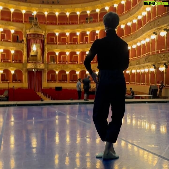 Vadim Muntagirov - 3.7K Likes - Surrounded by a group of wonderful people š . Swan Lake by @benjaminpech7 at @opera_roma , @eleonoraabbagnatoofficial @isaguerin2 @fumikaneko_ . Thank you šš¼
#rome #italy #swanlake #vadimmuntagirov