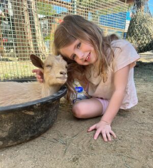 Vail Bloom Instagram - Easter Sweetness 🐣🪺🐑💕💜 #lastweek