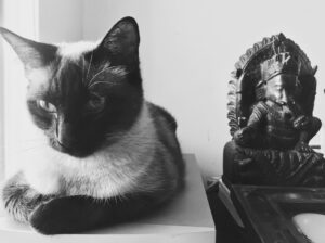 Valentino Lanús Instagram - Mis dos Guardianes !