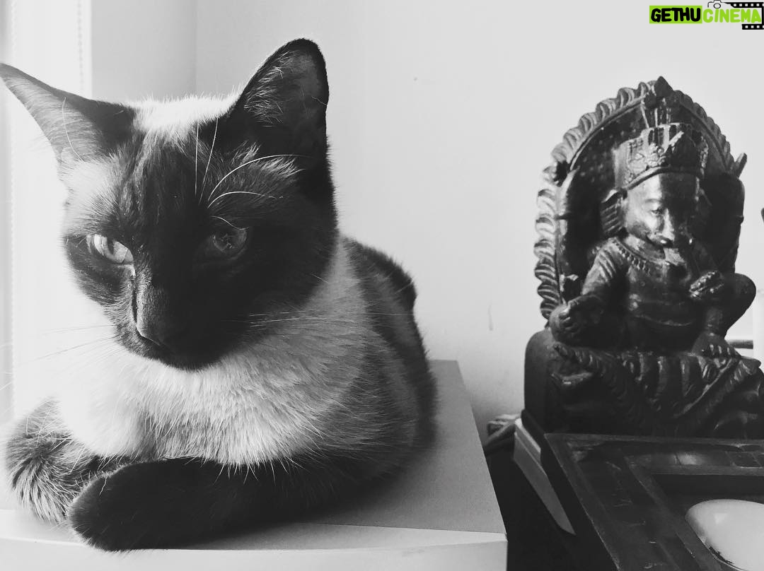 Valentino Lanús - 807 Likes - Mis dos Guardianes !