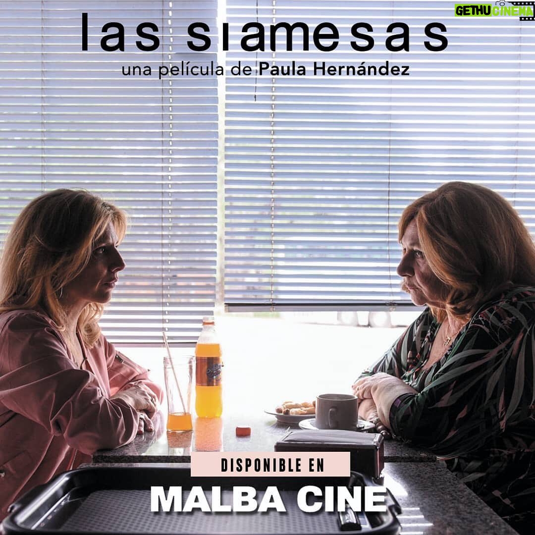 Valeria Lois - 614 Likes - Mañana por 6 horas en #malbacine
Hay un link abajo! 👇🏻
Posted @withregram • @tareafinacine Mañana Sábado 20 de Marzo podés ver online Las Siamesas de Paula Hernández de 16 a 22 hs en la web de #MalbaCine🎬 en el Ciclo Cine Argentino Online - https://www.malba.org.ar/evento/ciclo-cine-argentino-online/
📢A a las 20 hs su directora @brillantinas y el productor @juampamiller, estarán conectados en un vivo de Instagram para charlar sobre el proceso de realización y producción de la pelicula y dónde podrán aprovechar para hacer las preguntas que quieran.
¡Aprovechen para verla y nos encontramos en el vivo!
@juampamiller
#lassiamesas #paulahernandez #pelicula #valerialois #ritacortese #ficcion #malbaonline #MalbaVirtual #ciclodecine #cineonline #cineargentino #charlas #vivo #online #cine #cineencasa
