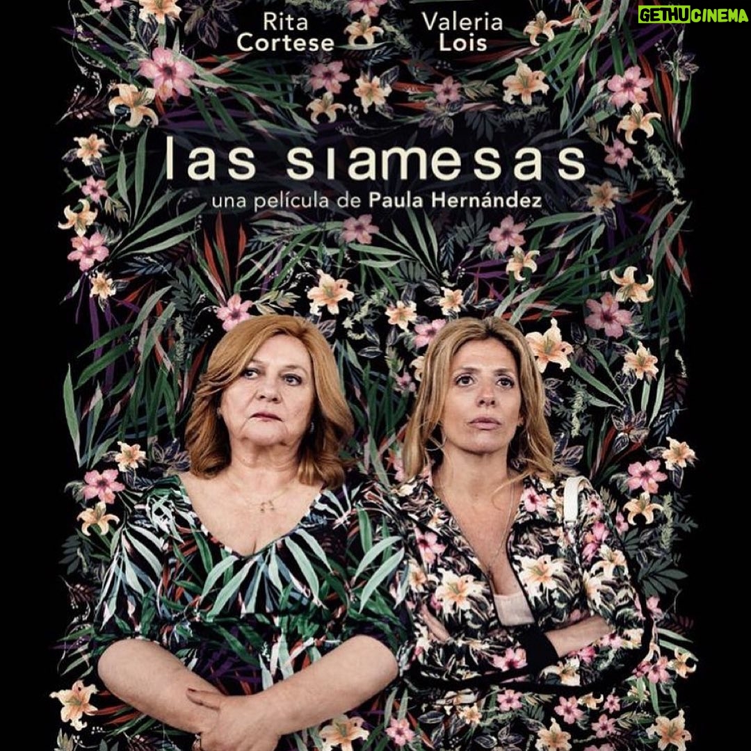 Valeria Lois - 784 Likes - Las siamesas a Miami 👩👧
Posted @withregram • @brillantinas Una alegría volver Miami International Film Festival @miamifilm con Las Siamesas!! 🎉👯♀️ @tareafinacine @valerialois @rita.corteseok