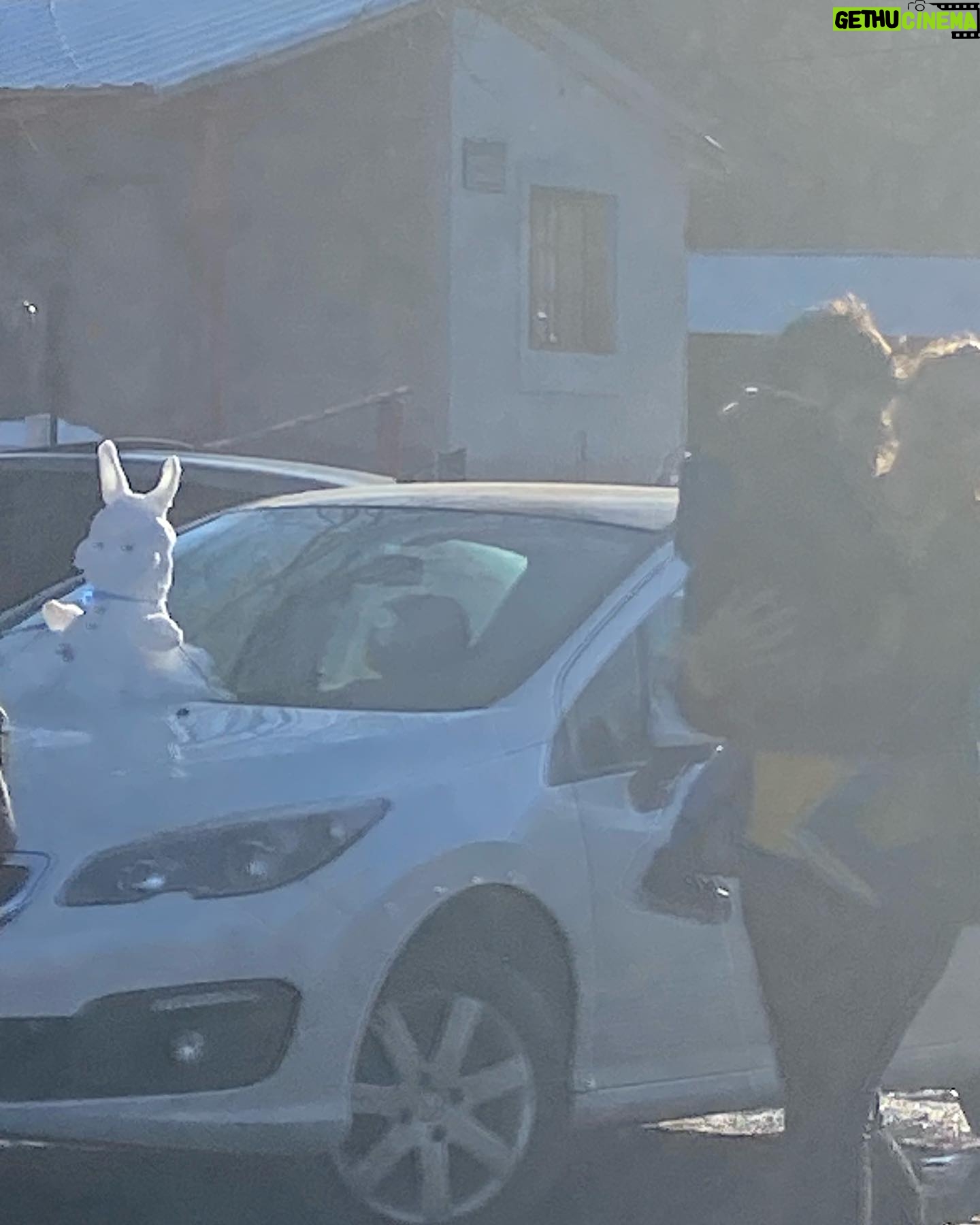 Valeria Lois - 417 Likes - Nos llevó a pasear @dipaolaviajesmza
Si vienen a Mendoza me las llaman
La gente hace muñequitos de nieve que se lleva en el capó del auto y yo recién ahora me vengo a enterar.
Gracias a mis secuaces: @lucianocaceresok @belenrivayoga @spregelburd
