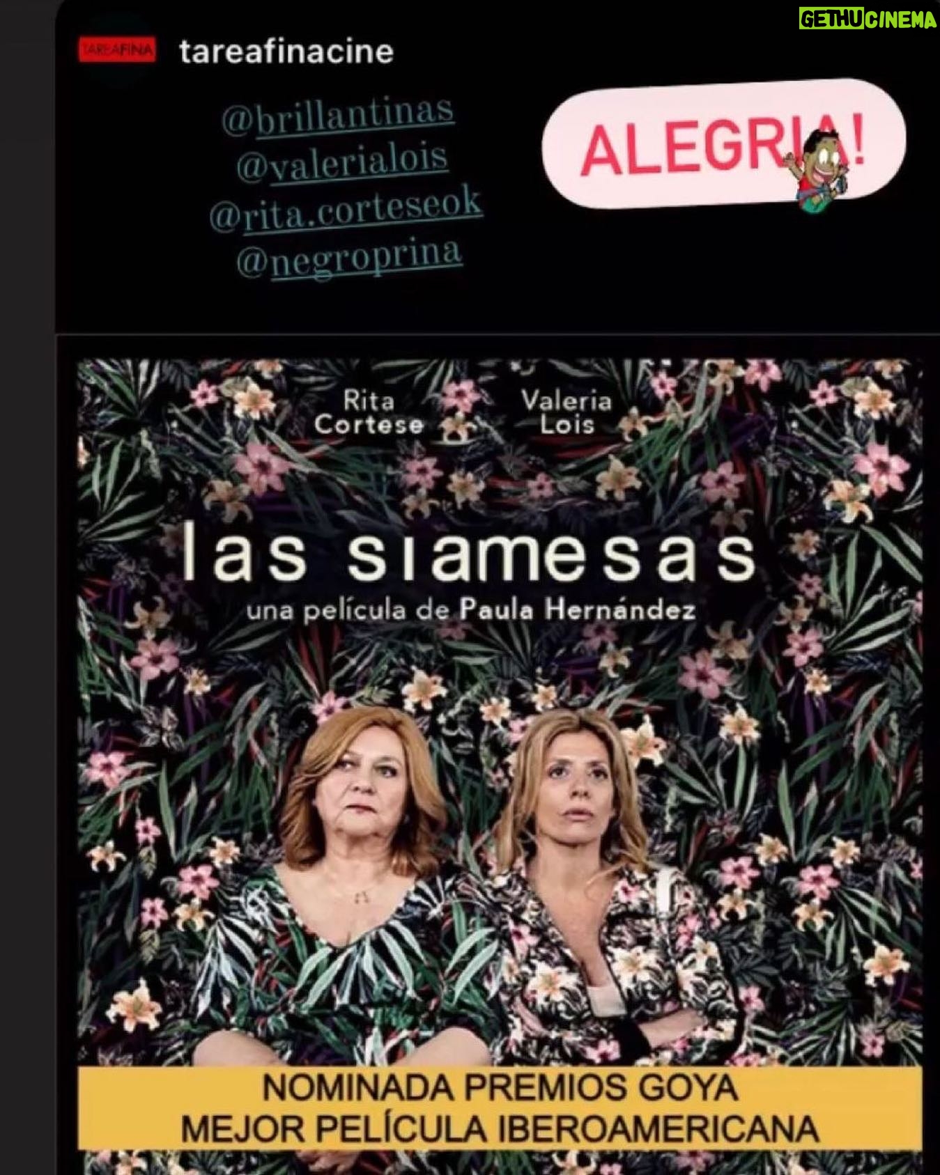 Valeria Lois - 665 Likes - Vivan Las Siamesas. Me abrazo con todes los que la hicimos. ♥️