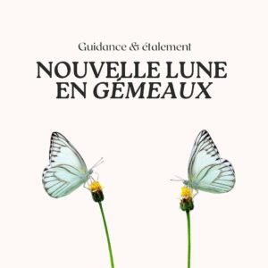 Vanessa DL Instagram - ✨ Nouvelle lune en Gémeaux ✨

J'avais envie de vous préparer une vidéo explicative sur cette nouvelle lune conjointe à Vénus, sous le signe des Gémeaux.

Cependant, depuis l'entrée de Jupiter dans ce signe, j'ai l'impression que mon cerveau surchauffe. Et je suis certaine de ne pas être la seule.

Même si l'astrologie du moment est moins « lourde », elle reste rapide, chaotique et peut donner l'impression de courir après sa queue.

Je nous sens collectivement éparpillé·es dans 1001 directions, ne sachant plus où donner de la tête entre nos responsabilités respectives, notre devoir citoyen face à des crises monumentales, et notre besoin de lâcher notre fou.

Tout coexiste drôlement, non sans dissonance, non sans inconfort.

Je pense donc que les constatations que j'ai faites et les questions que je me pose sont exactement le message que je devais vous partager.

👉 Pour ma part, les longues marches et promenades à vélo m'aident beaucoup à rester saine d'esprit ces temps-ci. L'énergie du Gémeaux peut être extrêmement cérébrale, alors être dans mon corps tout en «aérant mon cerveau» me sont d'un grand soutien.

Vous, qu'est-ce qui vous aide ces temps-ci?
