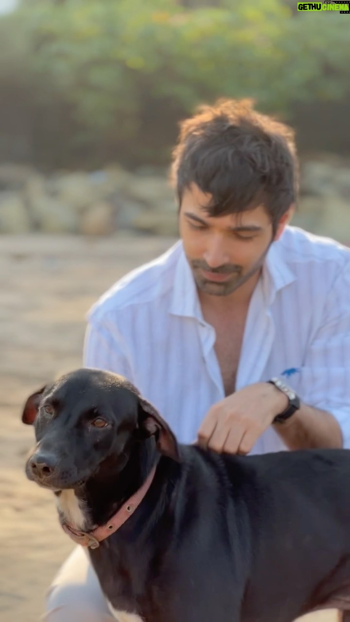 Varun Mitra - 2.6K Likes - We were just chatting about life 🤷♂️
#puppylove