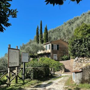 Vasuphon Kriangprapakit Instagram - Artist’s home- : ที่พักสุดพิเศษของtripนี้ อยู่บนเขาในเมือง Camaiore แคว้น Tuscany เป็นบ้านเก่าของศิลปิน Sculptor ชื่อดัง Fiore de Henriquez
ปัจจุปันเธอเสียชีวิตแล้ว เลยปรับปรุงบ้านที่เธอเคยอยู่เป็นที่พัก โดยยังเก็บงานปั้นของเธอไว้ประดับในบ้านอยู่ บ้านสวยมาก น่าอยู่มาก วิวหลักพันล้าน เป็นภูเขาสองลูกมาบรรจบกันและตรงกลางเป็นพระอาทิตย์ตกในทะเล ที่ฟินมากๆคือ Magic hours เกือบสองชั่วโมง 
ตอนนั้นแต่งเนื้อเกือบ Honeymoon เกือบเสร็จพอดี เลยใช้บ่ายวันนึงถ่ายLine sync ที่นี่ซะเลย ขอบคุณตากล้องกิตติมศักดิ์มา ณ ที่นี้ด้วยครับ 
ปล. Mv เพลง Honeymoon link is in Bio นะ #Morvasu #Honeymoon