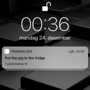 Vegard Ylvisåker Instagram - Nå er det jul!