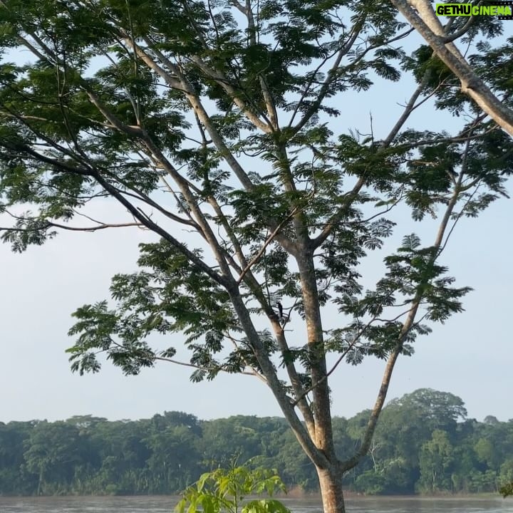 Vera Moura - 3 Likes - As manhãs mais maravilhosas foram aqui ✨
@hotelenai
#travel #peru #amazon
#backpacking
