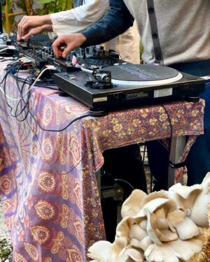 Vera Moura Instagram - music, friends & mushrooms 🪩🍄

1st @solto.lisboa at @nam.mushroomfarm ⚡️