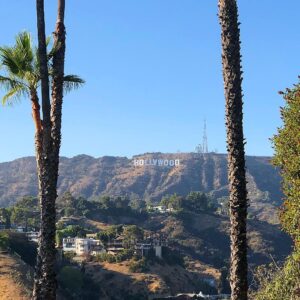 Vered Blonstein Instagram - View from my home office 😍😍😍😍😍😍😍😍😍😍😍🎬🎬🎬🎬🎬🎬🎬🎬🎬🎥🎥🎥🎥🎥🎥🎥🎥🎥🎥🎥🎥🎥🎥🎬🎬🎬🎬🎬🎬🎬🎬🎬🎬🎭🎭🎭🎭🎭🎭🎭🎭🎭🎭🎭 #hollywoodsign #hollywoodhills #actress #actresslife #hollywoodactress #laactress #lafilmmaker #lafilm #hollywoodfilm #hollywoodcasting #lacasting #filmmakerlife #womeninfilm #iconicplaces #hollywood #hollywoodliving #actress🎬 #workingactress #castingdirector #hollywoodview #lalife #filmmakerslife #lightscameraaction #sohollywood #hollywooddreams #ilovehollywood #hoorayforhollywood #lalaland #hikergirl #hikerlife