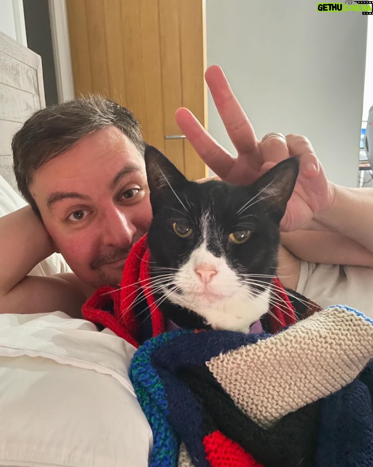 Veronica Green - 4.2K Likes - On Monday we had to say goodbye to Seth as he had become very sick.
We adopted a senior cat nearly 7 years ago knowing we wouldn’t have an eternity with him, but loosing him has been very painful for Steve & I.
I thought it would be nice to share some lovely memories of him. We love and miss him very much.
Rest in peace my gorgeous boy.
💚💚💚💚💚