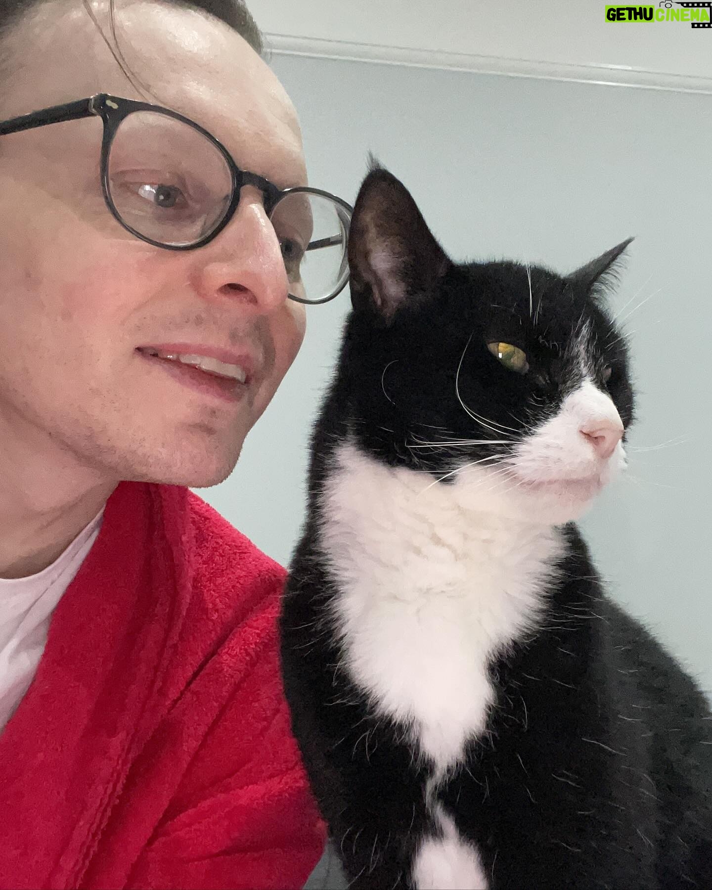 Veronica Green - 4.2K Likes - On Monday we had to say goodbye to Seth as he had become very sick.
We adopted a senior cat nearly 7 years ago knowing we wouldn’t have an eternity with him, but loosing him has been very painful for Steve & I.
I thought it would be nice to share some lovely memories of him. We love and miss him very much.
Rest in peace my gorgeous boy.
💚💚💚💚💚