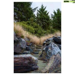 Victor Webster Instagram - Slick black rocks and flowing grass