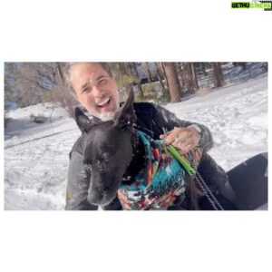 Victor Webster Instagram - A little fun in the sun. Drove past a bunch of people sledding and decided that Nova and I needed to get in the mix. She’s such a trooper. My little adventure dog.