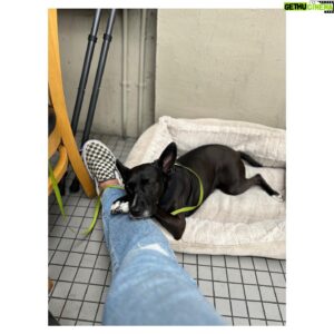 Victor Webster Instagram - Dog Dad Day