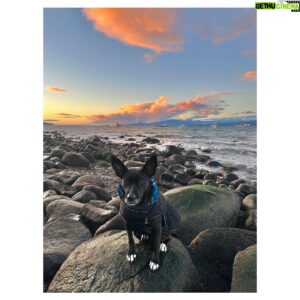 Victor Webster Instagram - 