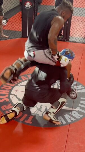 Vilson Ndregjoni Instagram - 🦍🦍🌪️