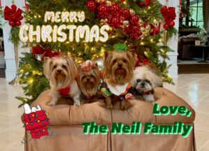 Vince Neil Instagram - Merry Christmas!!