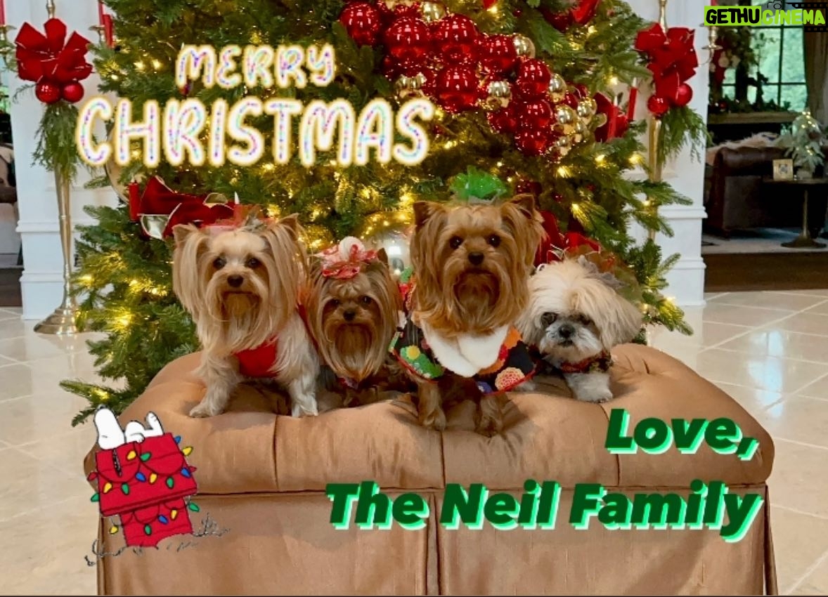 Vince Neil - 3 Likes - Merry Christmas!!